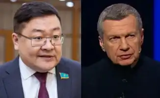 Сарым: Комары не стреляют, но цели важны