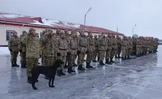 Собака Айқас на службе: тазы патрулирует воздушное пространство в Акмолинской области