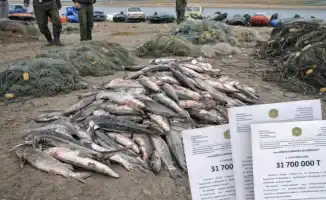 Незаконный вылов редких видов рыб и водных животных в Казахстане может обойтись в сотни тысяч и даже миллионы тенге