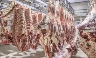 Минсельхоз Казахстана разъяснил новые ограничения на вывоз говядины: причины и порядок применения