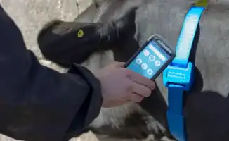 GPS-трекеры в Атырауской области: потерянные в зимних просторах степи