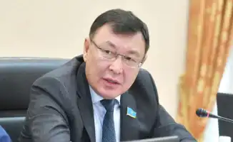 Сенатор Марат Кожаев о декларировании доходов госслужащих: 'Вы хотели, чтобы у нас люди ничем не занимались?'