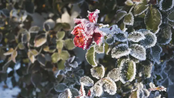 Казахстан готовится к сильным морозам в январе 2026 года Атырау