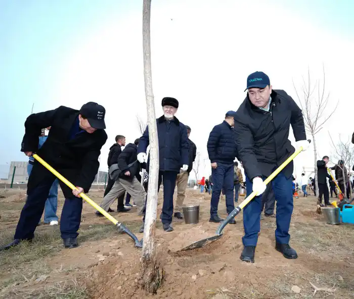 «ТАЗА КАЗАХСТАН»: В ПРОШЛОМ ГОДУ В ТУРКЕСТАНСКОЙ ОБЛАСТИ ВЫСАЖЕНО БОЛЕЕ 1 МЛН САЖЕНЦЕВ (6)