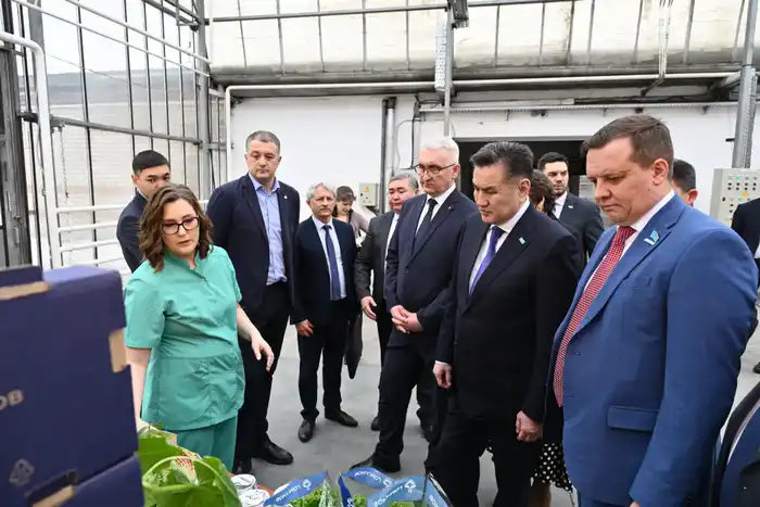 Визит делегации ВКО в Барнаул: изучение передовых технологий тепличного хозяйства Атырау