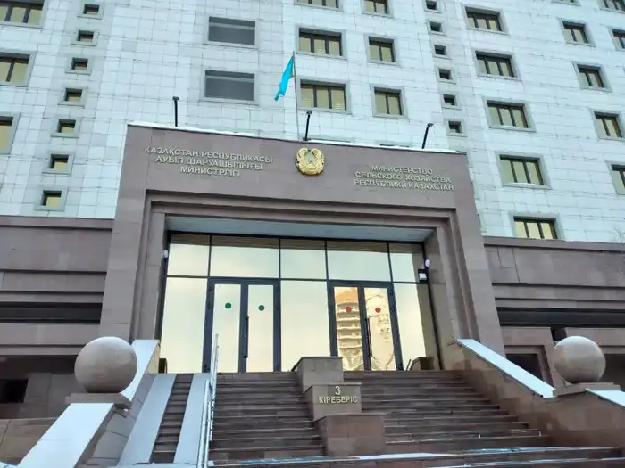 Правительство Казахстана опровергло слухи о массовом уничтожении скота, призывая к доверию к официальным источникам Атырау