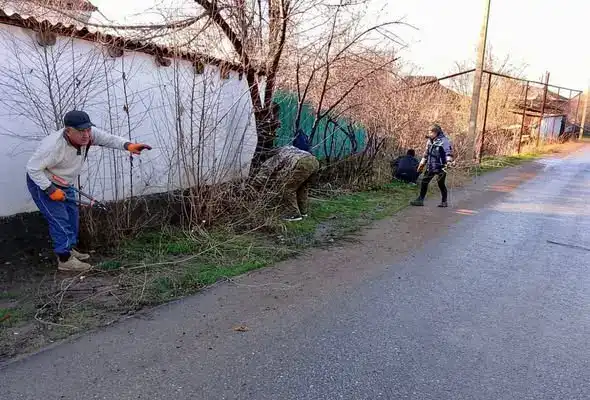 Благоустройство Сарыагаша уборка мусора обрезка деревьев улучшение парков Атырау