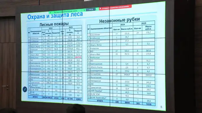 Социальные инициативы по восстановлению экосистемы Казахстана через высадку деревьев и создание заповедников Атырау