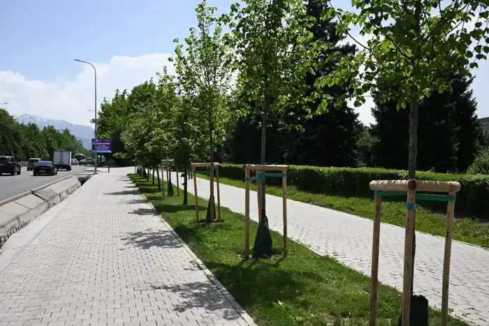 Алматы на пути к созданию зеленого города: увеличение озеленения до 15 кв. м на человека к 2030 году Атырау