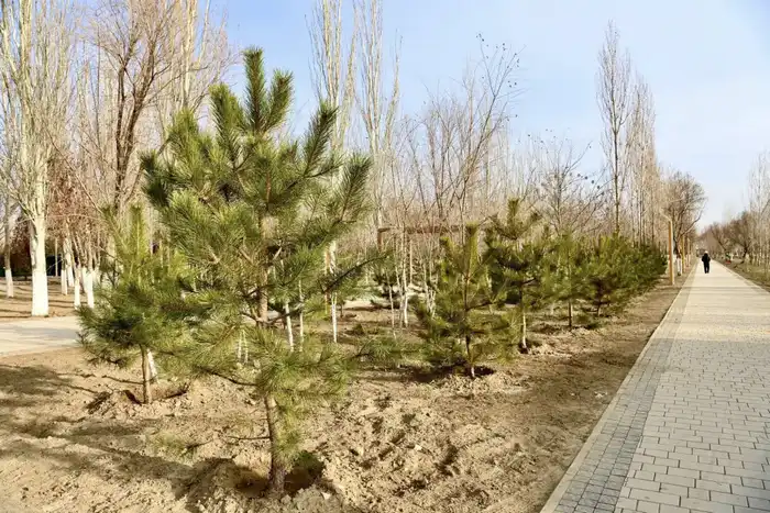Строительные работы новой многофункциональной библиотеки и театра начаты в регионе Атырау