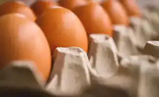 Цены на социально значимые продукты в Жетісу снижены после проверки Департамента торговли