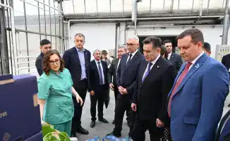 Визит делегации ВКО в Барнаул: изучение передовых технологий тепличного хозяйства