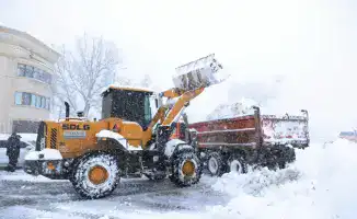 Тараз под снегом: кто отвечает за чистоту?