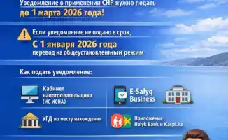 Важные сроки для выбора специального налогового режима для международных налогоплательщиков