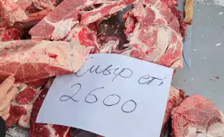 Сельскохозяйственные ярмарки: продукция стабилизационных фондов находит дорогу к покупателям
