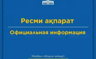 Сильный ветер в Жанатасе повредил кровли домов и привел к отключению электричества