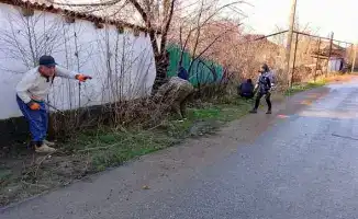 Благоустройство Сарыагаша уборка мусора обрезка деревьев улучшение парков