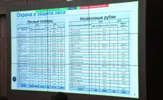 Социальные инициативы по восстановлению экосистемы Казахстана через высадку деревьев и создание заповедников