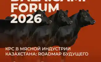 Международный форум по мясному животноводству пройдет в Казахстане