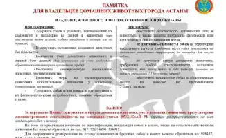 «Закон и порядок»: в Астане владельцам домашних животных напоминают о правилах безопасности на поводке