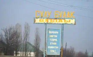 Улучшение санитарного состояния в Жетысайском районе: последствия программы «Таза Қазақстан» для экологии региона