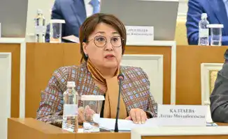 Новая Конституция Казахстана: шаг к инклюзивности и равным правам для всех граждан