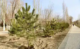 Строительные работы новой многофункциональной библиотеки и театра начаты в регионе
