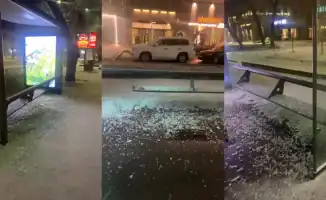 Мужчина в Алматы устроил погром на остановке: инцидент попал на видео
