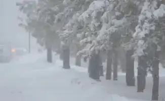 Штормовые предупреждения в Астане и регионах: возможные последствия для населения и инфраструктуры 7 февраля