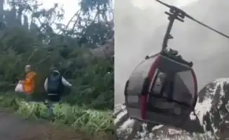 На горнолыжном курорте Шымбулак стихия оставила свои следы: рухнувшее дерево и качающиеся кабинки. Видео последствий непогоды активно обсуждается в социальных сетях.