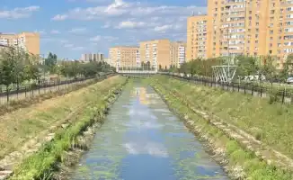 В Астане планируется масштабная реконструкция набережной, которая потребует многомиллиардных вложений. Проект направлен на благоустройство одной из проблемных рек столицы.