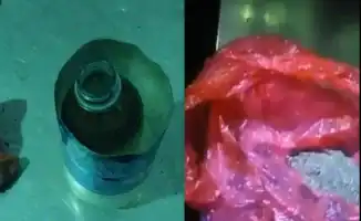 Служебная собака предотвращает доставку запрещённых веществ в колонию Атырау