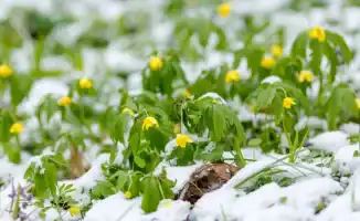 Синоптики Казгидромета прогнозируют теплую погоду до 20 градусов в Казахстане на 16, 17 и 18 февраля, сообщает корреспондент Tengrinews.kz.