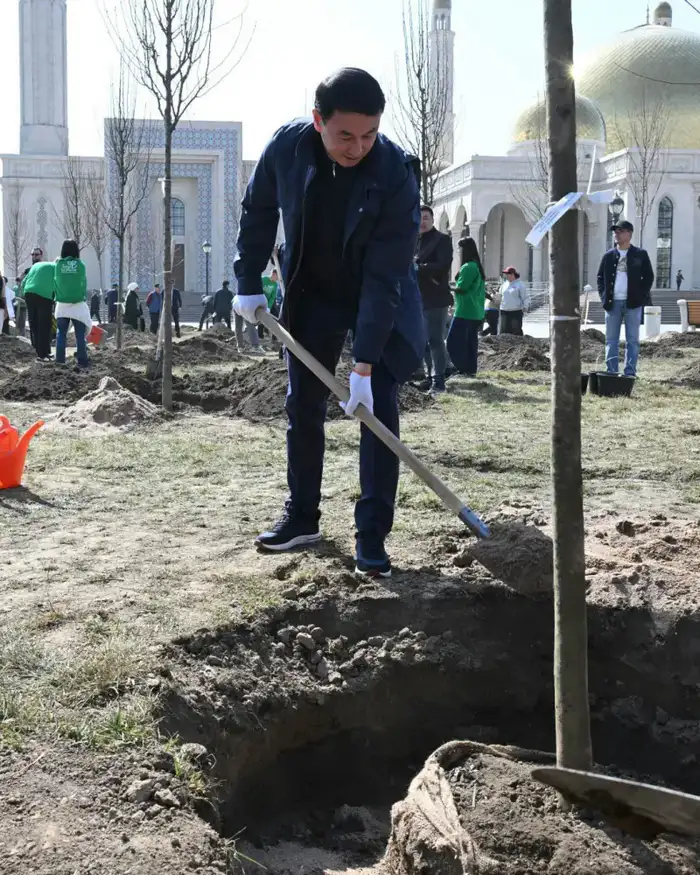 Посадка деревьев в Алматы к Наурызу Атырау