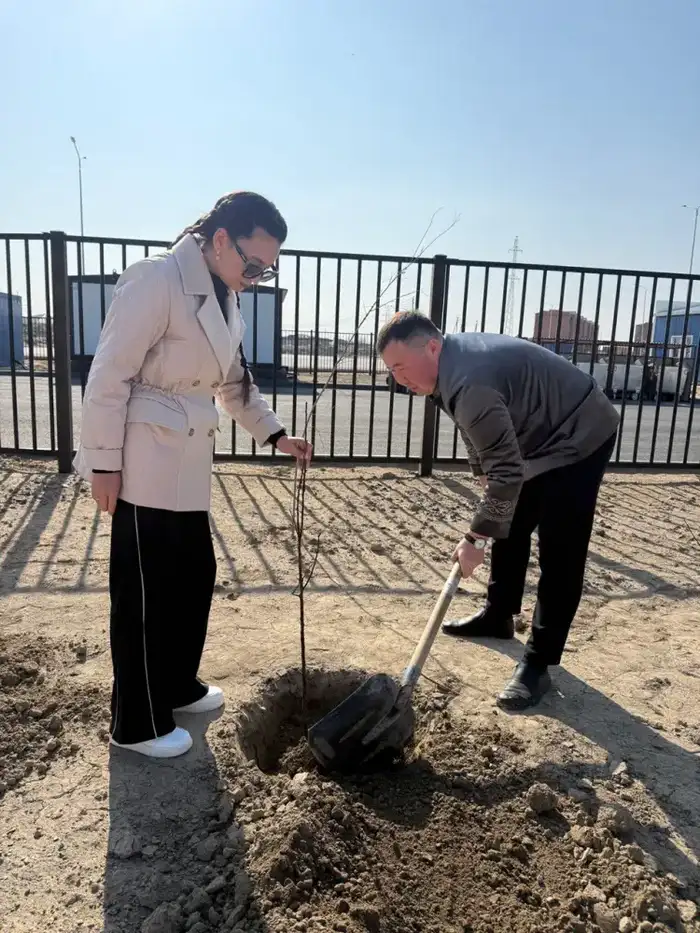 Родители высадили саженцы во дворах «Келешек мектептері» (4)