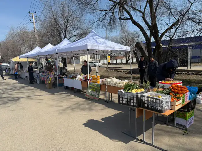 Ярмарка сельхозпродукции в Алатау: поддержка местных производителей и доступные цены для горожан Атырау