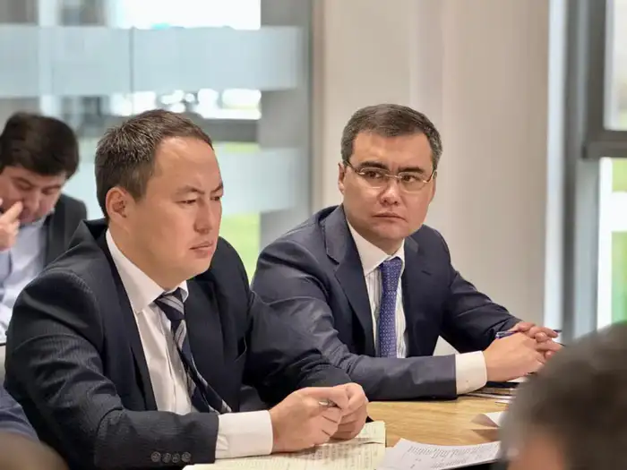Саранча под контролем: Туркестанская область готовится к битве с вредителями Атырау