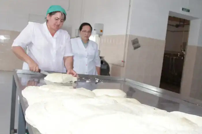Более 2,5 тыс. человек работают в сфере переработки сельхозпродукции в Жамбылской области (8)