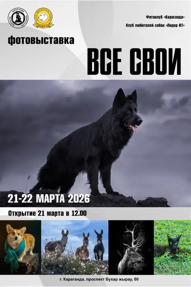 Фотовыставка и выставка собак в Караганде: объединение искусства и любви к животным Атырау