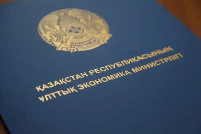Рост числа социальных предпринимателей в Казахстане почти в два раза за год Атырау