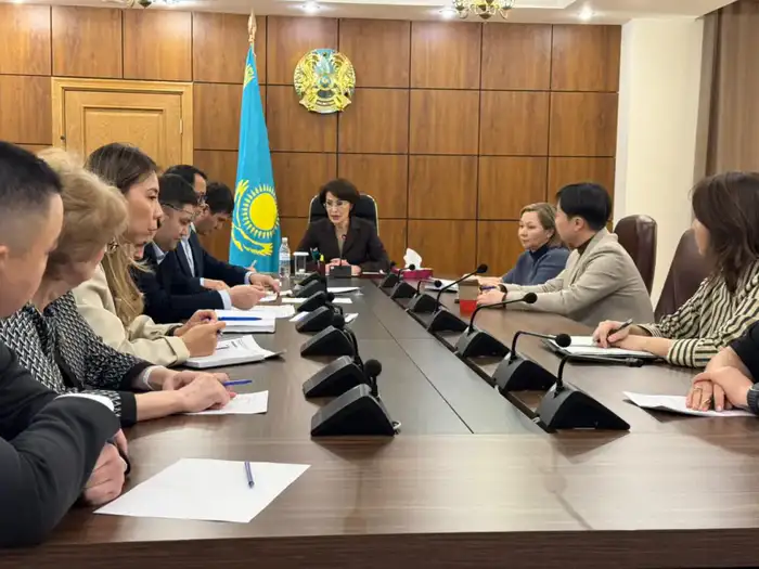 А.АЛЬНАЗАРОВА ПРОВЕЛА ВСТРЕЧУ С ПРЕДСТАВИТЕЛЯМИ МИС ПО ВОПРОСАМ ИСПОЛНЕНИЯ ПОРУЧЕНИЯ ГЛАВЫ ГОСУДАРСТВА (4)