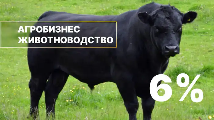 Льготное кредитование животноводства в Казахстане: АО 'Аграрная кредитная корпорация' запускает программу Атырау