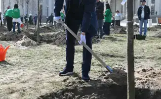 Посадка деревьев в Алматы к Наурызу