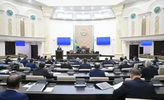 Создание механизма международной помощи в случае стихийных бедствий обсуждается в Сенате Казахстана
