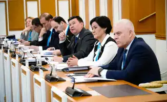Мост в будущее: международные наблюдатели на страже прав человека в новой Конституции