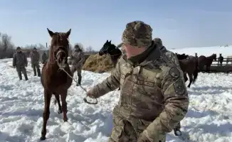 Синхронный танец всадников и лошадей: горно-егерский полк на пути к боевому единству