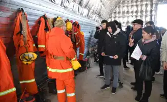 Участие волонтёров в эколого-просветительской акции подчеркивает важность общественного сознания в охране природы