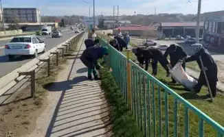 Субботник в Сарыагаше: порядок на свежем воздухе!