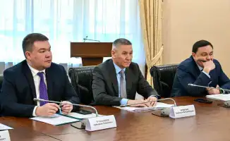 Международные решения МВК по экспорту говядины и импорту яиц