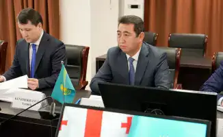 Грузия и Казахстан обсуждают сотрудничество в агропромышленном комплексе